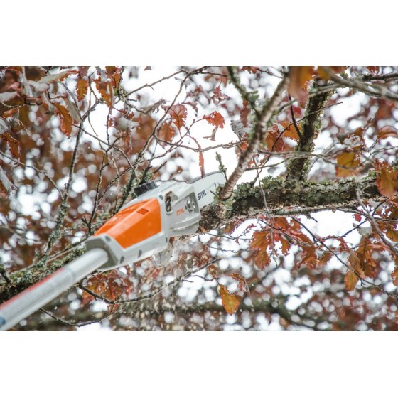 STIHL HTA 50